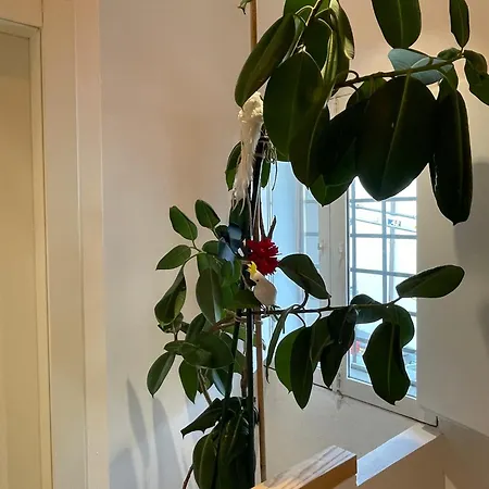 Diecivasi 3* Ravenna