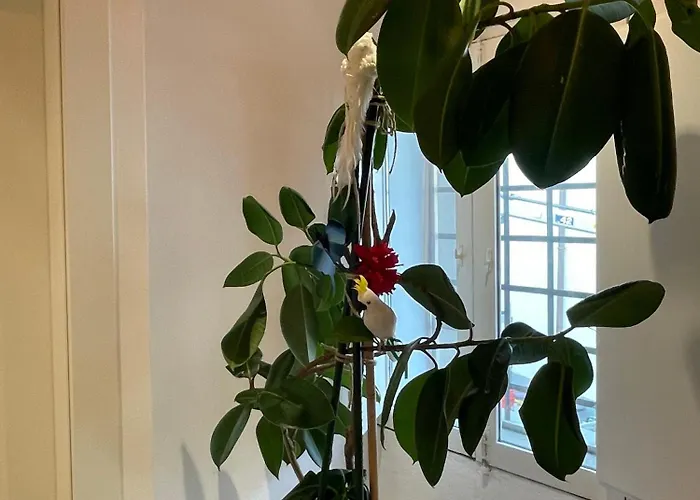 Diecivasi 3* Ravenna